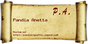 Pandia Anetta névjegykártya
